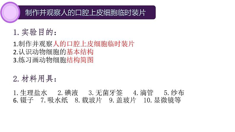 初中 生物 人教版(2024) 七年级上册 第一单元 第二章 认识细胞第三节 动物细胞 课件第5页