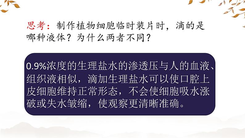 初中 生物 人教版(2024) 七年级上册 第一单元 第二章 认识细胞第三节 动物细胞 课件第7页