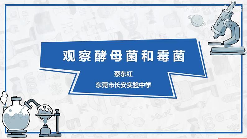 初中 生物 人教版(2024) 七年级上册(2024) 第二单元 多种多样的生物 第三章 微生物 第三节 真菌 课件第6页