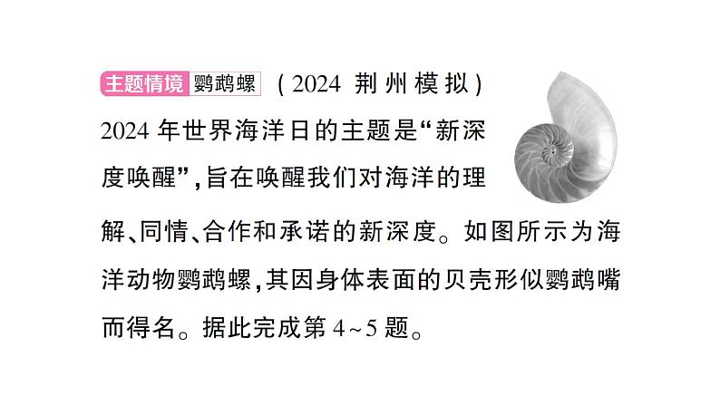 初中生物新人教版七年级上册期末情境化试题作业课件2024秋第5页