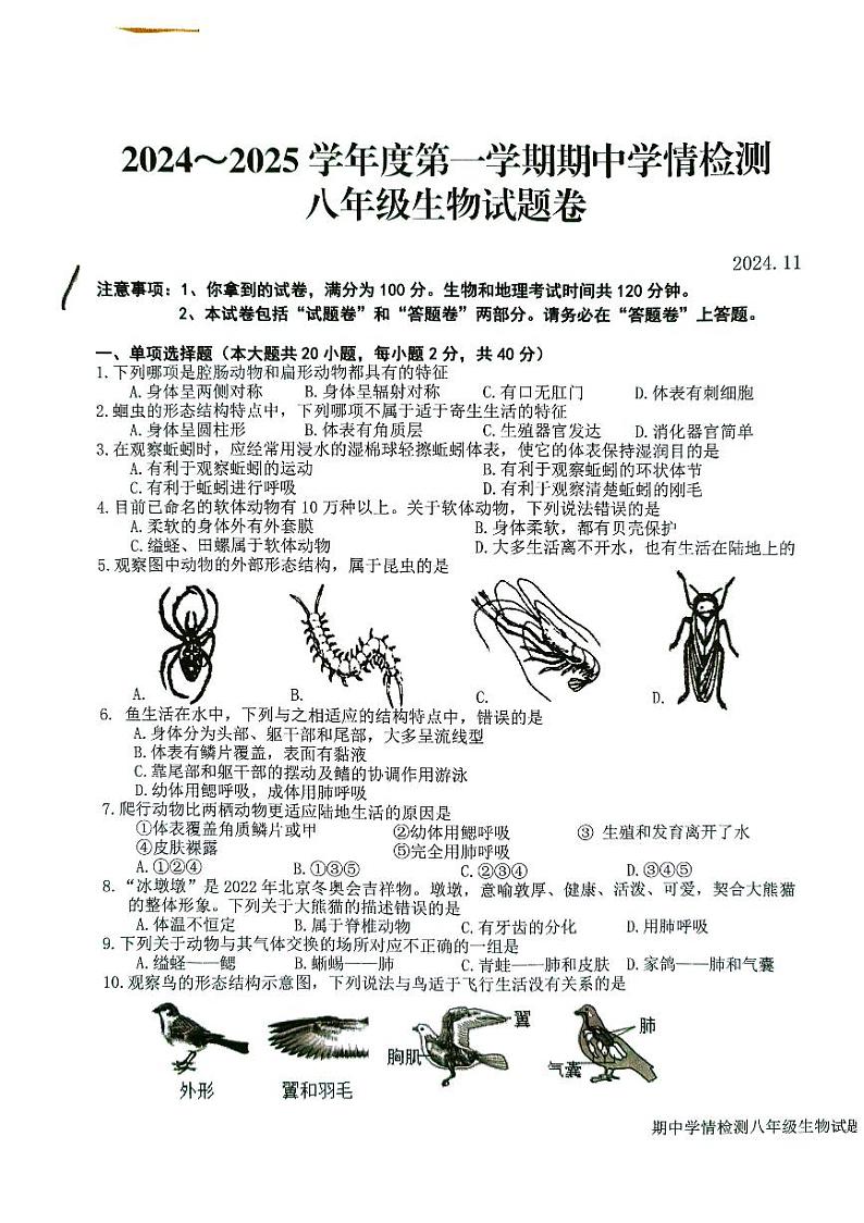 安徽省安庆市怀宁县2024-2025学年八年级上学期11月期中生物试题01