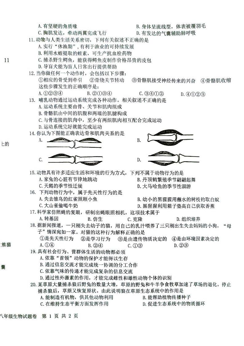 安徽省安庆市怀宁县2024-2025学年八年级上学期11月期中生物试题02