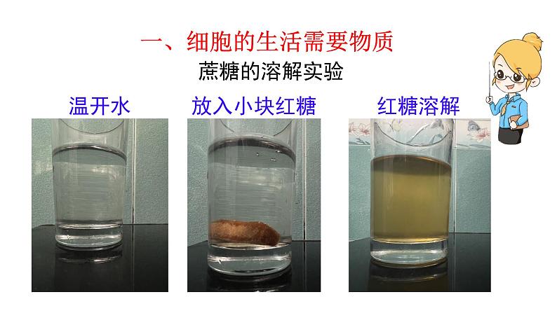 初中 生物 人教版(2024) 七年级上册 第一单元 第二章 认识细胞 第四节 细胞的生活 课件第3页