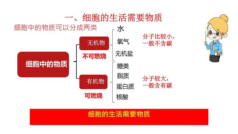 初中 生物 人教版(2024) 七年级上册 第一单元 第二章 认识细胞 第四节 细胞的生活 课件第8页