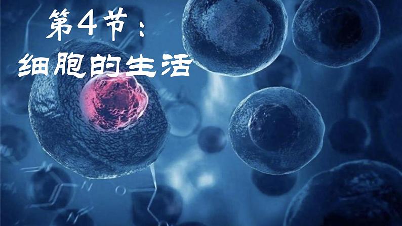 初中 生物 人教版(2024) 七年级上册 第一单元 第二章 认识细胞 第四节 细胞的生活 课件第1页