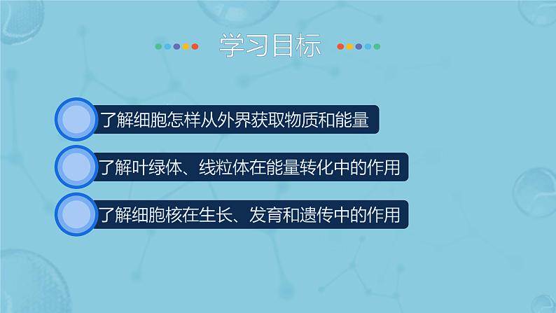 初中 生物 人教版(2024) 七年级上册 第一单元 第二章 认识细胞 第四节 细胞的生活 课件第3页