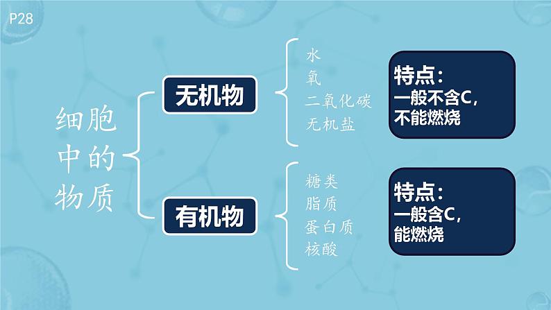 初中 生物 人教版(2024) 七年级上册 第一单元 第二章 认识细胞 第四节 细胞的生活 课件第6页