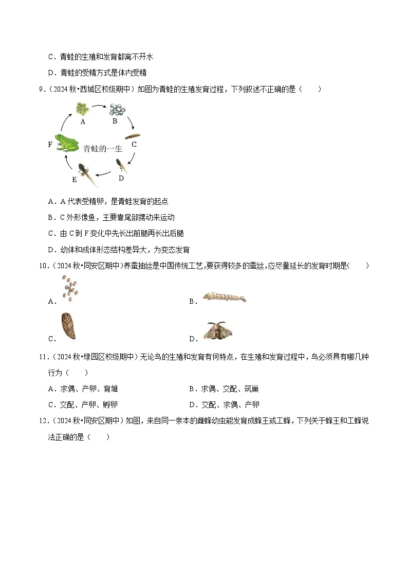 2024-2025学年初中生物(北师大版)八年级上册期末必刷常考题:动物的生殖和发育第3页