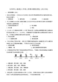 2024-2025学年人教版生物八年级上册期末模拟测试卷