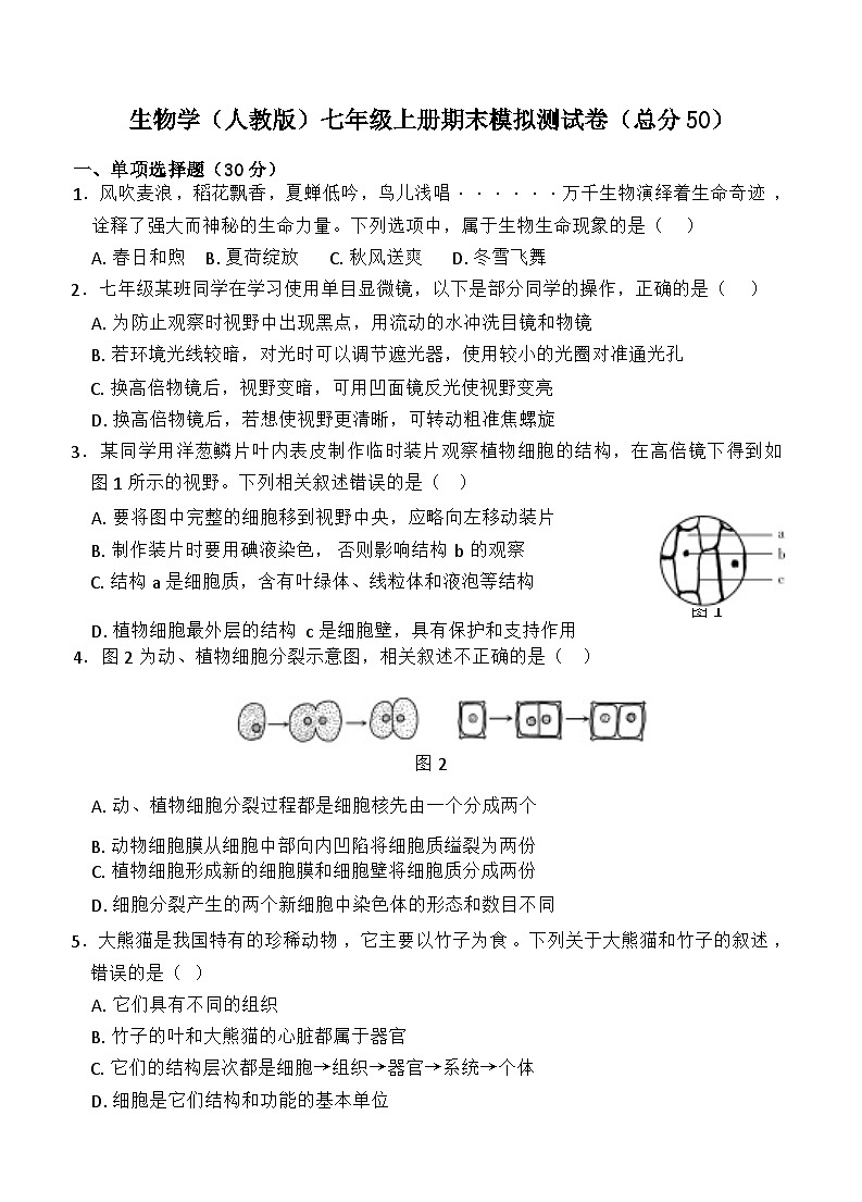 2024-2025学年人教版生物七年级上册期末模拟测试第1页