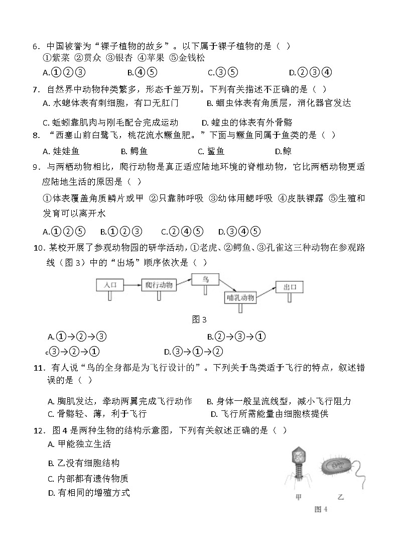 2024-2025学年人教版生物七年级上册期末模拟测试第2页