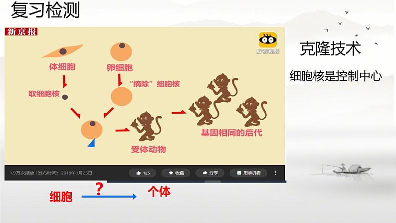 初中 生物 人教版(2024) 七年级上册 第一单元 第三章 第一节 细胞通过分裂产生新细胞 课件第2页