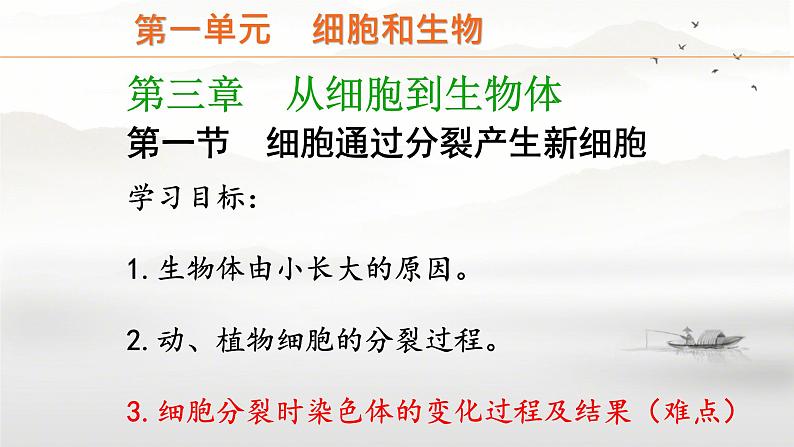 初中 生物 人教版(2024) 七年级上册 第一单元 第三章 第一节 细胞通过分裂产生新细胞 课件第3页