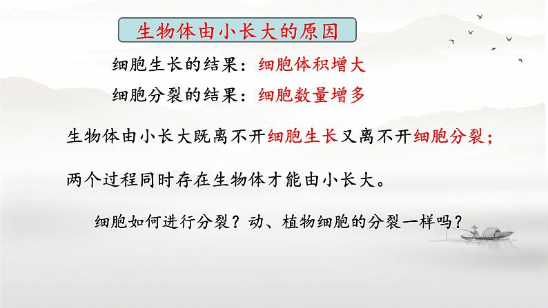 初中 生物 人教版(2024) 七年级上册 第一单元 第三章 第一节 细胞通过分裂产生新细胞 课件第7页