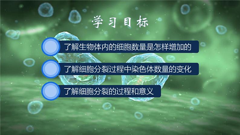 初中 生物 人教版(2024) 七年级上册 第一单元 第三章 第一节 细胞通过分裂产生新细胞 课件03