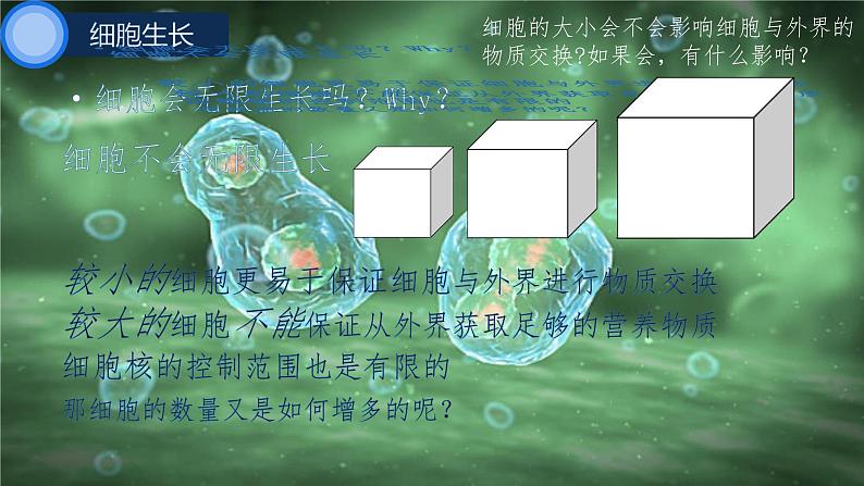 初中 生物 人教版(2024) 七年级上册 第一单元 第三章 第一节 细胞通过分裂产生新细胞 课件07
