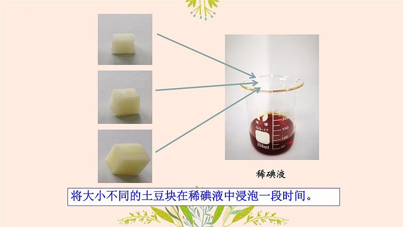 初中 生物 人教版(2024) 七年级上册 第一单元 第三章 第一节 细胞通过分裂产生新细胞 课件第7页