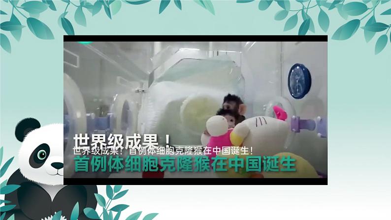 初中 生物 人教版(2024) 七年级上册 第一单元 第三章 第一节 细胞通过分裂产生新细胞 课件02