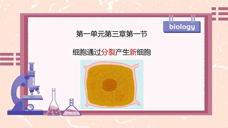 初中 生物 人教版(2024) 七年级上册 第一单元 第三章 第一节 细胞通过分裂产生新细胞 课件第1页