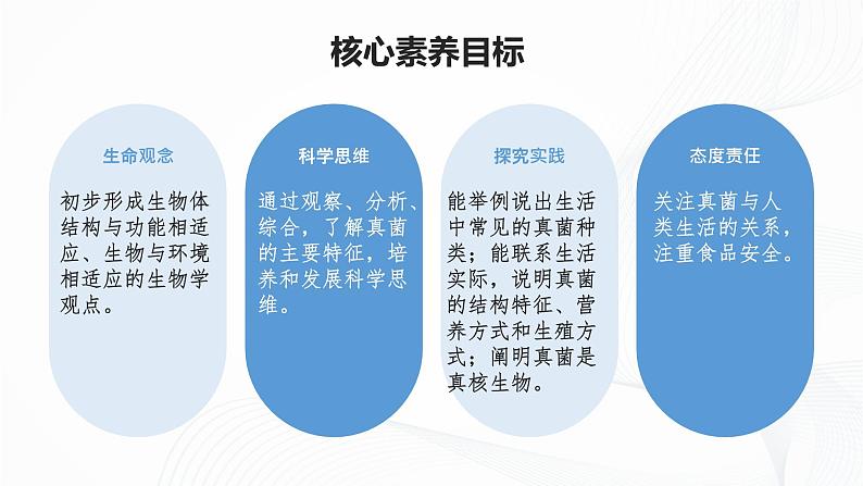 2.3.3 真菌-初中生物七年级上册 同步教学课件(人教版2024)第4页