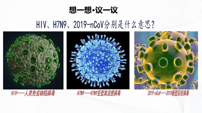 2.3.4 病毒-初中生物七年级上册 同步教学课件(人教版2024)第3页