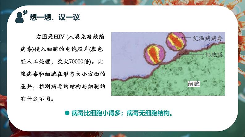 初中 生物 人教版(2024) 七年级上册 第二单元 多种多样的生物 第三章第四节 病毒 课件01