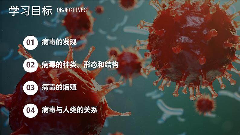 初中 生物 人教版(2024) 七年级上册 第二单元 多种多样的生物 第三章第四节 病毒 课件03