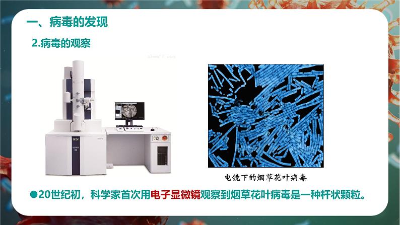 初中 生物 人教版(2024) 七年级上册 第二单元 多种多样的生物 第三章第四节 病毒 课件05