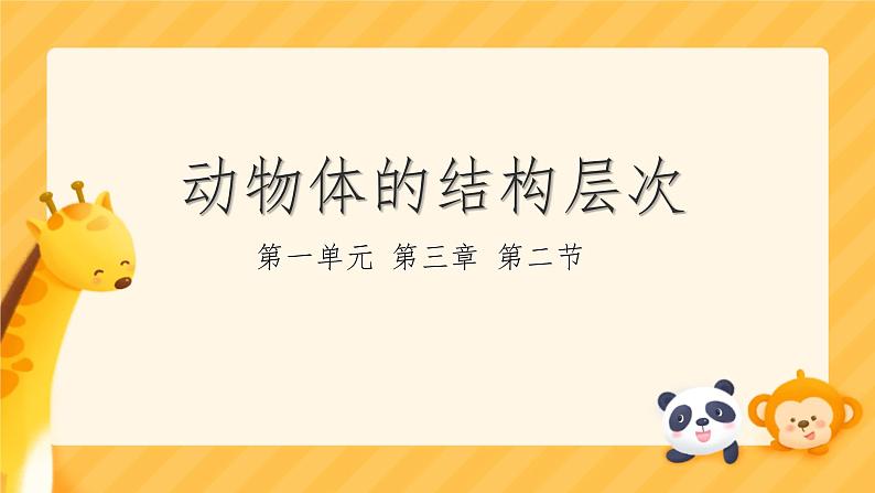 初中 生物 人教版(2024) 七年级上册 第一单元 生物和细胞 第三章第二节 动物体的结构层次 课件第1页