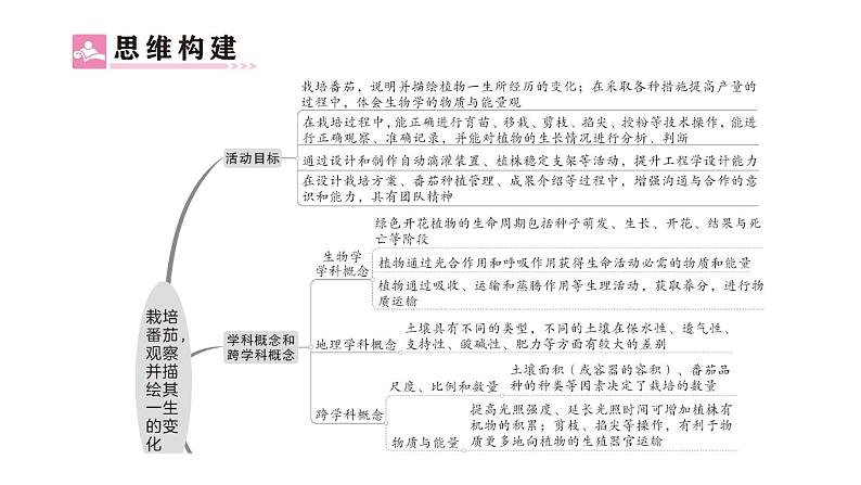 初中生物新北师大版七年级上册活动一 栽培番茄,观察并描绘其一生的变化作业课件2024秋第2页