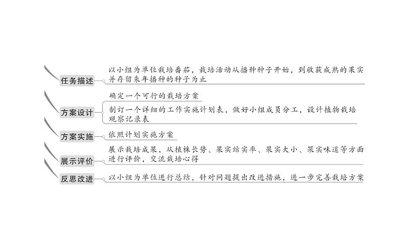 初中生物新北师大版七年级上册活动一 栽培番茄,观察并描绘其一生的变化作业课件2024秋第3页