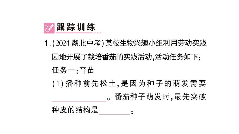 初中生物新北师大版七年级上册活动一 栽培番茄,观察并描绘其一生的变化作业课件2024秋第4页