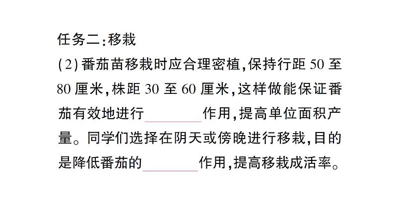 初中生物新北师大版七年级上册活动一 栽培番茄,观察并描绘其一生的变化作业课件2024秋第5页