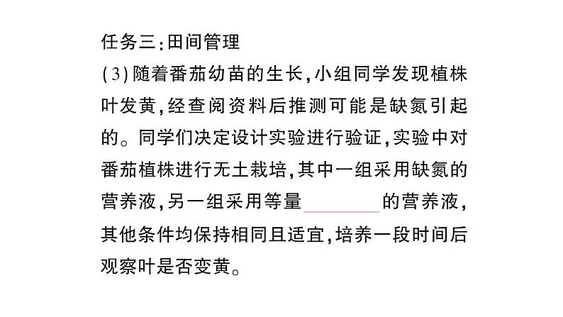 初中生物新北师大版七年级上册活动一 栽培番茄,观察并描绘其一生的变化作业课件2024秋第6页