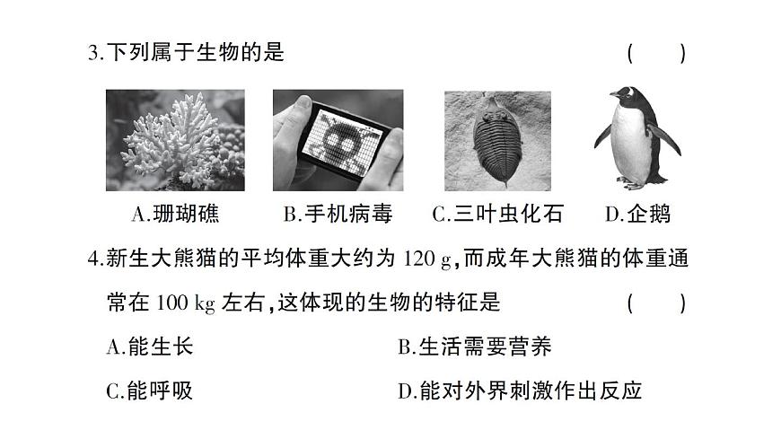 初中生物新人教版七年級(jí)上冊(cè)第一單元 第一、二章綜合訓(xùn)練作業(yè)課件2024秋第3頁(yè)