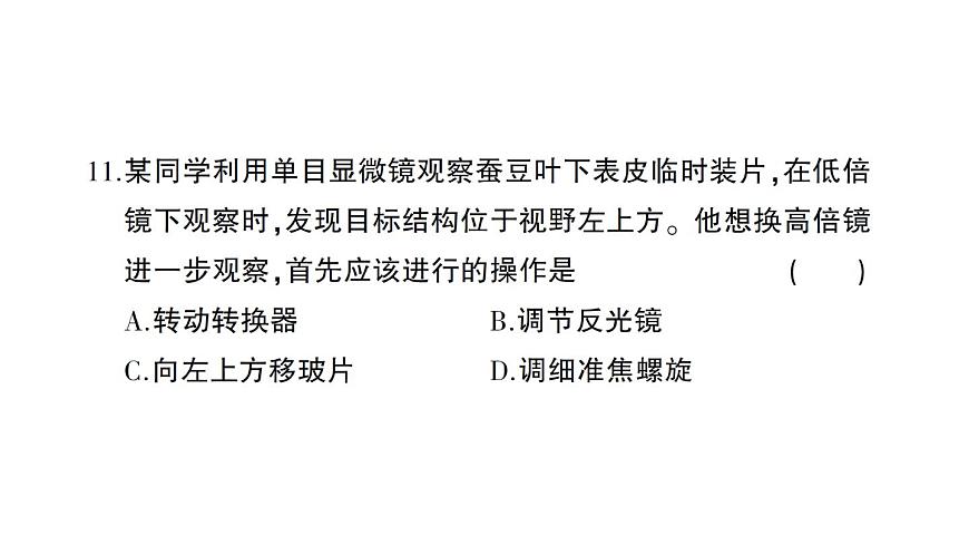 初中生物新人教版七年級(jí)上冊(cè)第一單元 第一、二章綜合訓(xùn)練作業(yè)課件2024秋第8頁(yè)