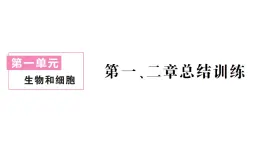 初中生物新人教版七年级上册第一单元第一、二章 总结训练作业课件2024秋