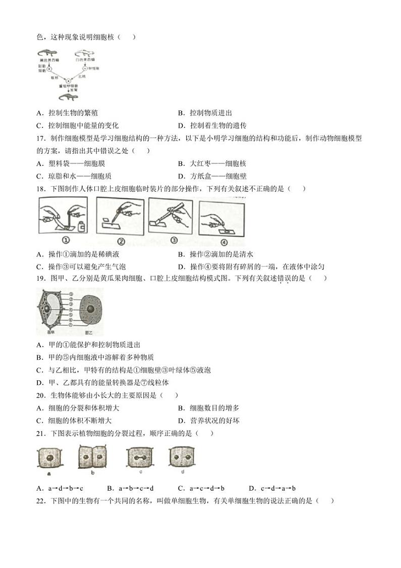 湖南省永州市新田县2023~2024学年七年级(上)期中生物试卷(含答案)第3页