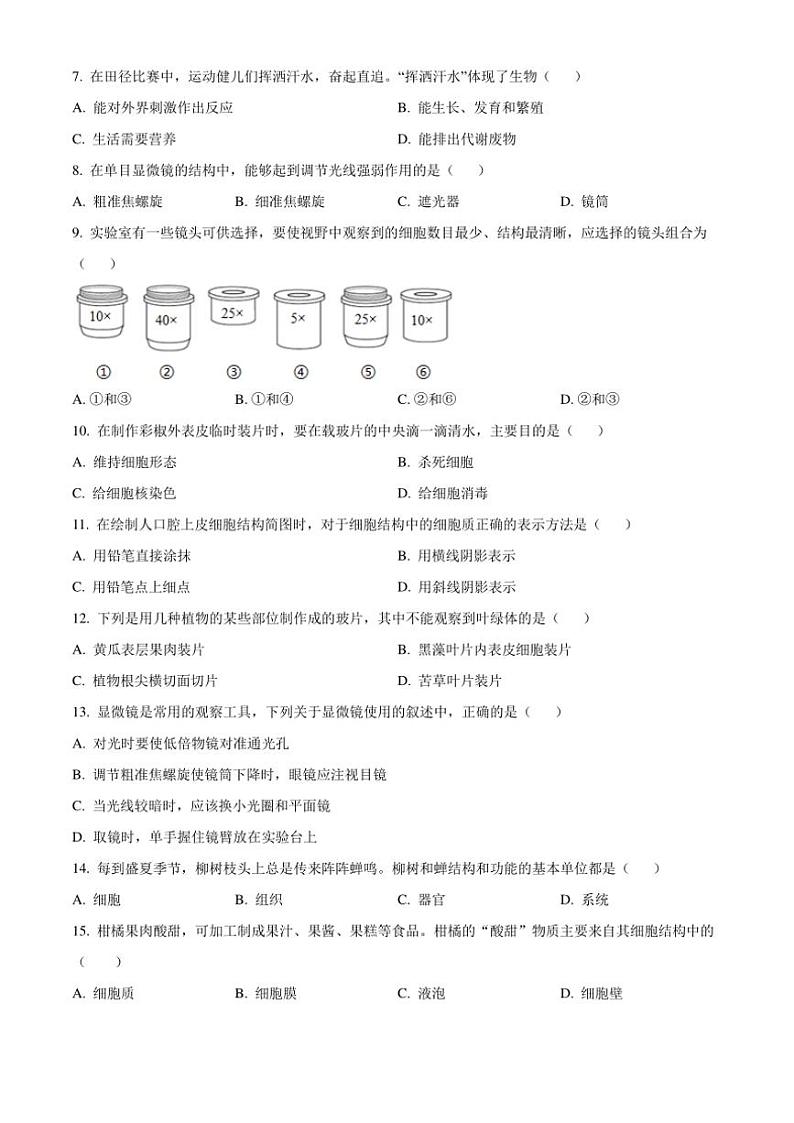 陕西省铜川市2024~2025学年七年级(上)期中生物试卷(含答案)第2页