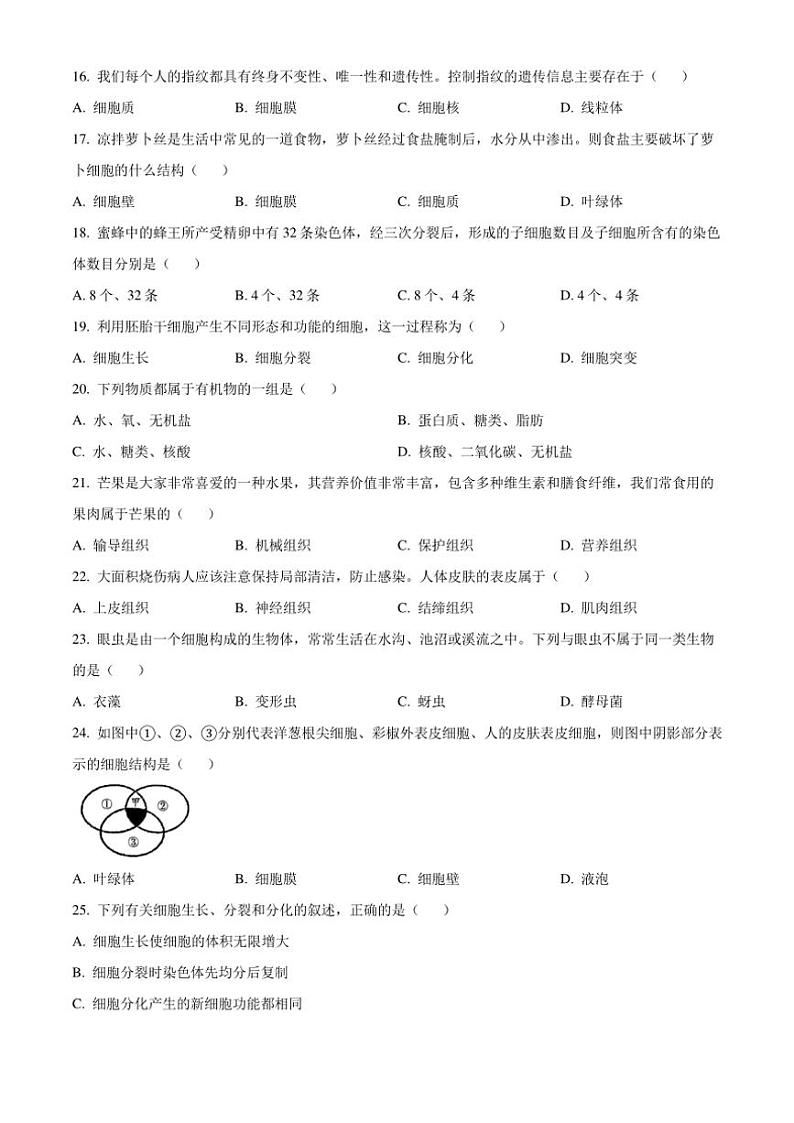 陕西省铜川市2024~2025学年七年级(上)期中生物试卷(含答案)第3页