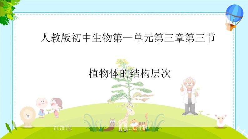 初中 生物 人教版(2024) 七年级上册 第一单元 生物和细胞 第三章 第三节 植物体的结构层次 课件第1页