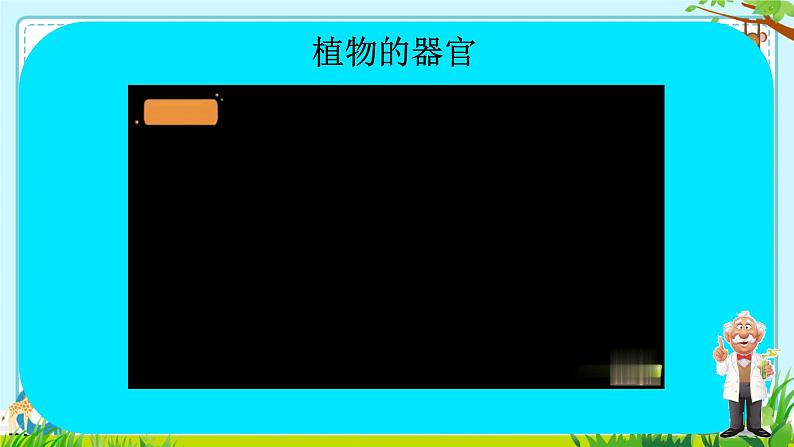 初中 生物 人教版(2024) 七年级上册 第一单元 生物和细胞 第三章 第三节 植物体的结构层次 课件第5页