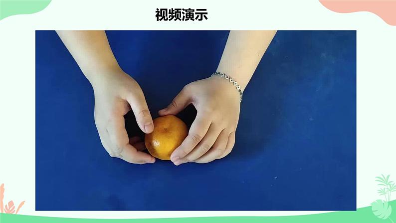 初中 生物 人教版(2024) 七年级上册 第一单元 生物和细胞 第三章第三节 植物体的结构层次 课件第7页