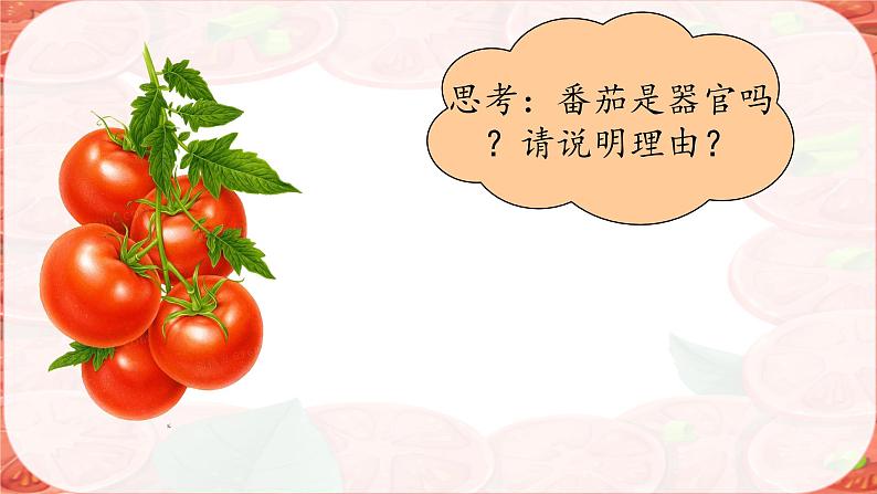 初中 生物 人教版(2024) 七年级上册 第一单元 生物和细胞 第三章第三节 植物体的结构层次 课件第6页