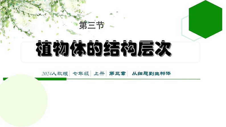 初中 生物 人教版(2024) 七年级上册 第一单元 生物和细胞 第三章第三节 植物体的结构层次 课件第1页