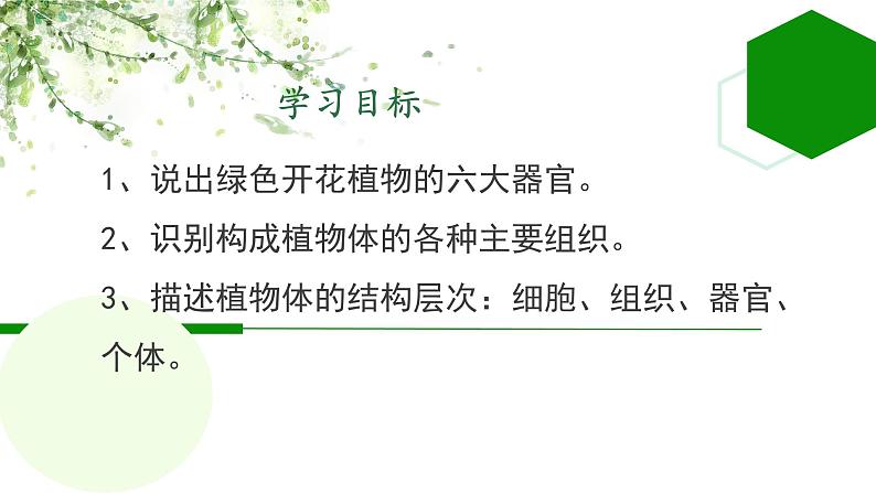 初中 生物 人教版(2024) 七年级上册 第一单元 生物和细胞 第三章第三节 植物体的结构层次 课件第2页