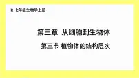生物人教版（2024）第三节 植物体的结构层次完美版课件ppt