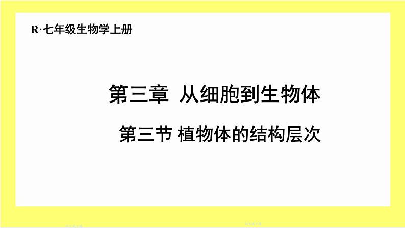 初中 生物 人教版(2024) 七年级上册 第一单元 生物和细胞 第三章第三节 植物体的结构层次 课件01