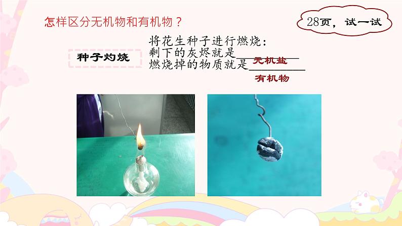 1.2.4 细胞的生活 课件 2024-2025学年 人教版 七年级上册06
