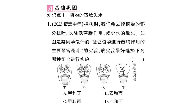 初中生物新北师大版七年级上册第3单元第4章第5节 蒸腾作用作业课件2024秋第5页